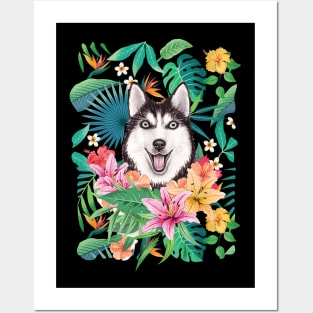 Tropical Black White Siberian Husky 12 Posters and Art